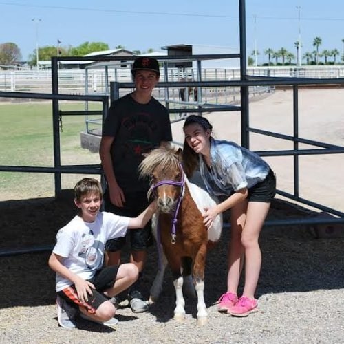 pony-children